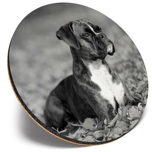 Round single coaster bw - ,