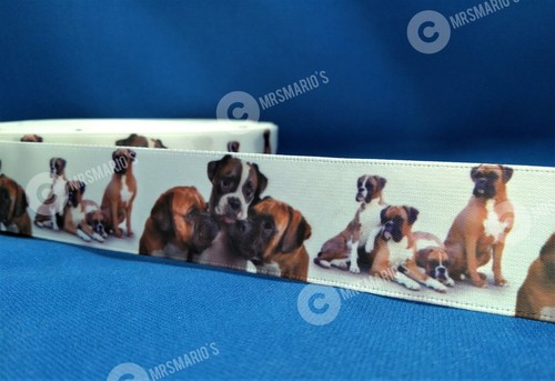 Boxer breed pet dog - boxer,