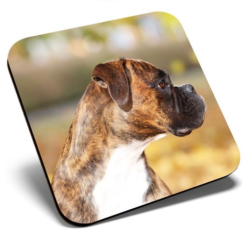 Square single coaster cute - square,