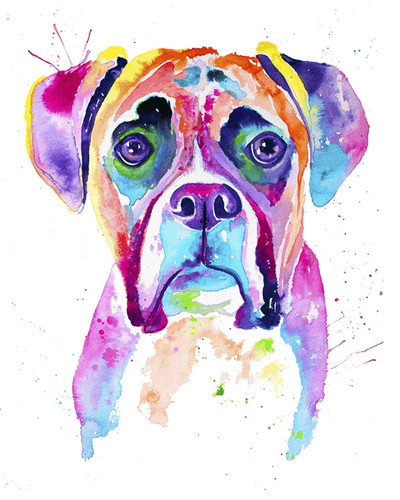 Boxer dog multi color - boxer, wall