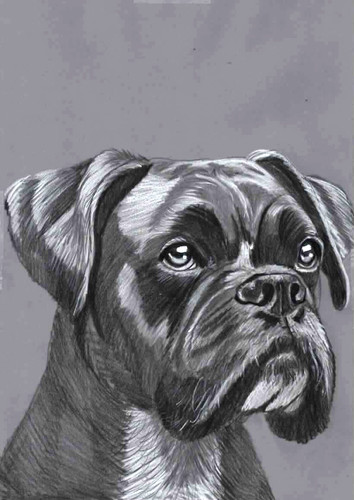 Original pencil drawing - pencil,