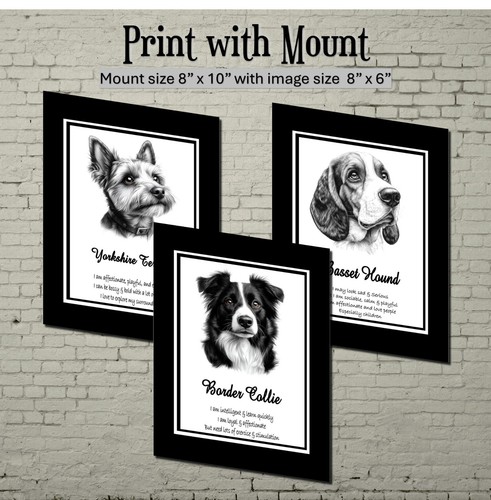 Dog breed drawing print with - print,