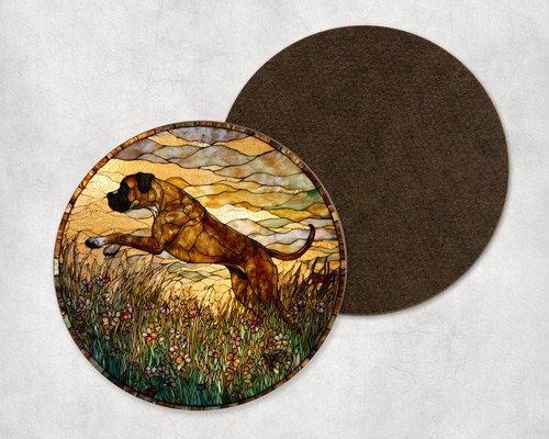 Boxer dog tall grass spring - dog,