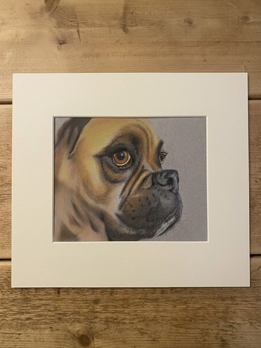 Pastel pencil boxer dog hand - boxer,