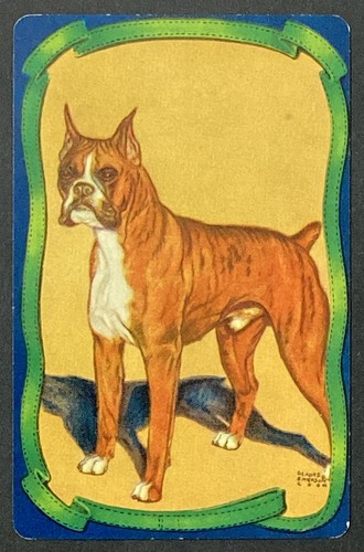 Boxer dog gladys emerson - gladys, cook