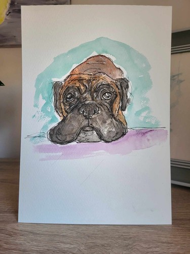 Boxer dog watercolour