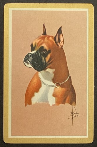 Boxer dog vintage - dog, single