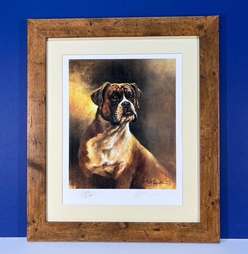 Boxer dog mick - boxer, cawston