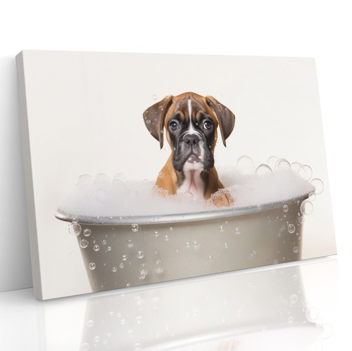 Boxer puppy bubble - puppy, bath