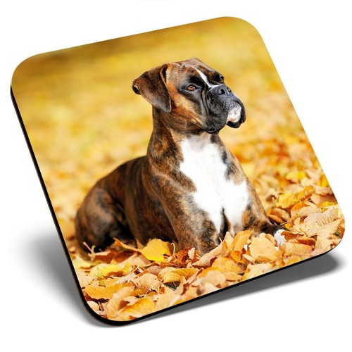 Square single coaster boxer - -,