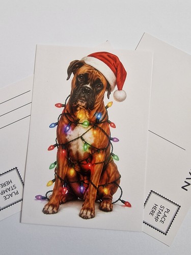 Red boxer dog christmas - boxer,