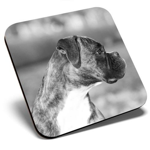 Square single coaster - coaster,