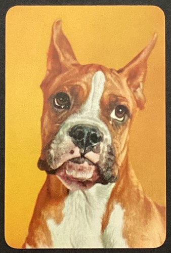 Boxer dog vintage single swap - single,