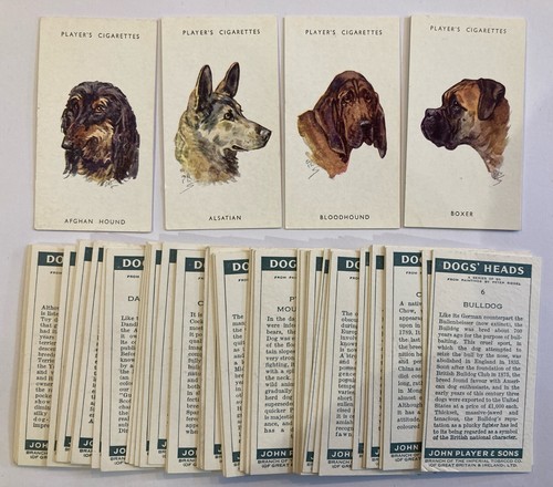 1955 player dogs head - 1955, player's