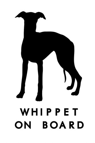Whippet dog board car - whippet,