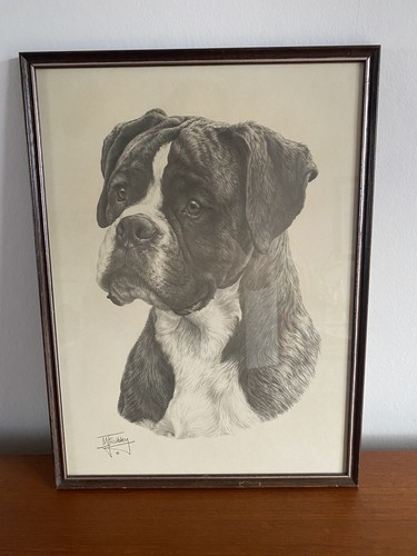 Sibley framed print of - framed,