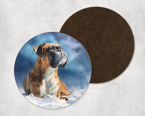 Boxer dog winter scene - dog,