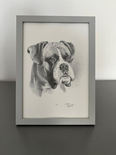 Framed boxer dog art print - framed,
