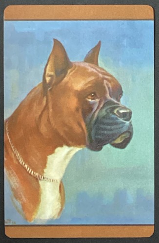 Boxer dog vintage - boxer,