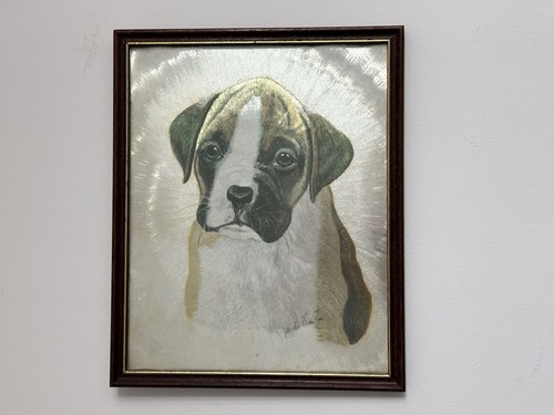 Vintage framed boxer dog - framed,