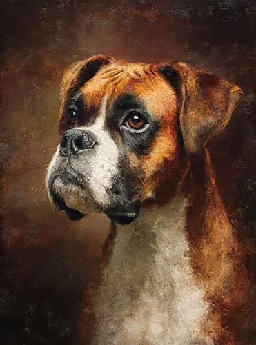 Boxer dog animal oil - dog,