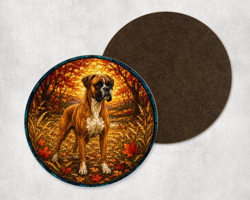 Boxer dog autumn fall stained - autumn,