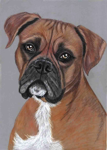 Original colour pencil - colour,